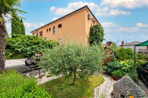 a garden with a tree and a building at BANKO APARTMENTS & Rooms in Rovinj