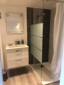 bagno con doccia, lavandino e specchio di Le clos de Launay a Souvigné