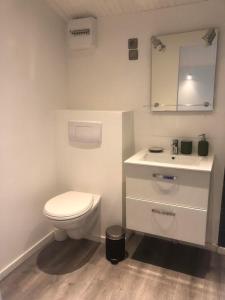 uma casa de banho com um WC branco e um lavatório. em Le clos de Launay em Souvigné