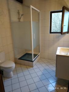 ein Bad mit einer Dusche, einem WC und einem Waschbecken in der Unterkunft Maison de vacances Diff in Puttelange-aux-Lacs