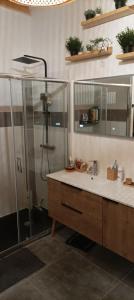 La salle de bains est pourvue d'une douche et d'un lavabo. dans l'établissement Magnifique villa avec jacuzzi et billard, à Limoux