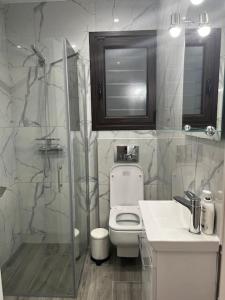 ein Bad mit einer Dusche, einem WC und einem Waschbecken in der Unterkunft Olivia Luxury Apartment Palio Faliro in Athen