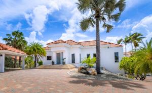 a house with a palm tree in the driveway at Caya di Bista Bunita 6 in Palm-Eagle Beach