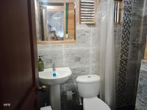 La salle de bains est pourvue de toilettes, d'un lavabo et d'un miroir. dans l'établissement Bungalow Palmar del Viento, à Moñitos