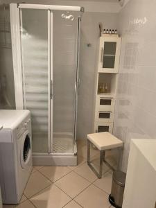 ein Bad mit einer Dusche und einer Waschmaschine in der Unterkunft Appartement T3 Les eucalyptus in LʼÎle-Rousse
