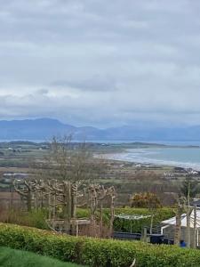 a view of the ocean from the top of a hill at Alma’s retreat in Drogheda