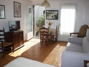 salon z kanapą, telewizorem i stołem w obiekcie Studio cosy proche cure avec équipement complet et animaux acceptés - FR-1-703-120 w mieście Amélie-les-Bains-Palalda