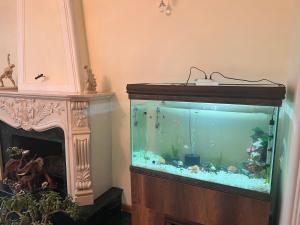 a large fish tank sitting next to a fireplace at Apartments City On The Palm in Tbilisi City