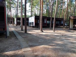 un grupo de edificios en medio de un bosque en Chatová osada U Jaryna en Doksy