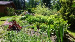 a garden with many different flowers and plants at Privathaus Wehle in Kurort Gohrisch