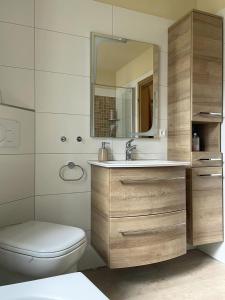 戈里施水療的住宿－Privathaus Wehle，一间带水槽、卫生间和镜子的浴室