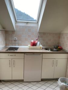 a kitchen with a sink and a window at Apartma Regina in Slovenj Gradec