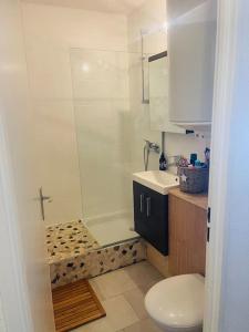 a bathroom with a shower and a toilet and a sink at Ski apartment 3 valleys in Les Menuires +6 photos