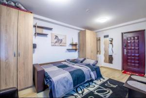 una camera con un letto e un comò di Studio Militari Residence MR_1 a Roşu Altre 20 foto