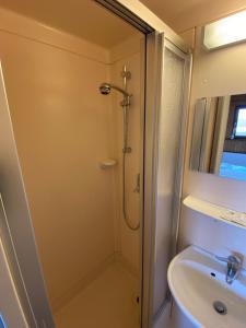 a bathroom with a shower and a sink at Gasthaus zum Ochsen in Herrischried