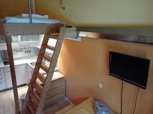 a bunk bed with a ladder and a television in a room at ciao-aschau Haus zur Burg Ap102 Biedermann in Aschau