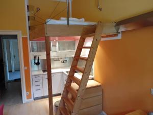 a bunk bed in a kitchen with a ladder at ciao-aschau Haus zur Burg Ap102 Biedermann in Aschau