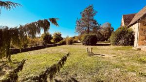 un campo de hierba con una casa y un árbol en La Combe d’Estève en Carsac-Aillac