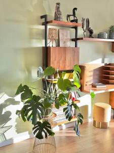 Zdjęcie z galerii obiektu Appartement de charme vue mer w Cassis