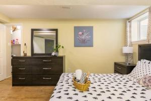 Self check-in spacious apartment with full Kitchen في أوتاوا: غرفة نوم مع سرير وخزانة ومرآة