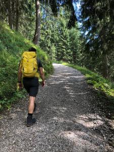 Příroda nedaleko apartmánu + 7 fotografií