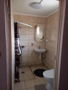 a bathroom with a toilet and a sink at Сонечко in Velyka Bihanʼ +9 photos