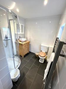 a bathroom with a shower and a toilet and a sink at Fletchers Cottage in Honiton