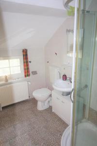 a bathroom with a toilet and a sink and a shower at Kleinheide 1 in Berumbur