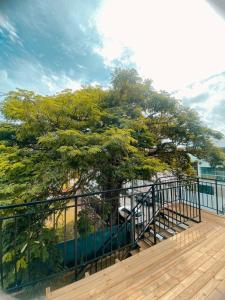 a tree on the balcony of a building at LOFT BC in Balneário Camboriú