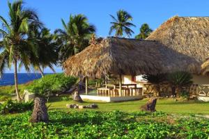a resort with a thatched roof and the ocean at Villa Punta Coral in Las Galeras