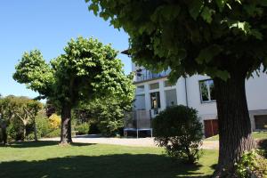 Giardino di B&B I due tigli