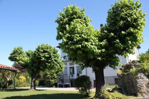 Giardino di B&B I due tigli