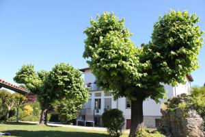 Giardino di B&B I due tigli