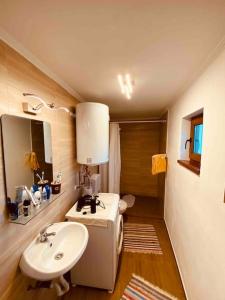 a bathroom with a sink and a toilet and a sink at Aprócska kulcsosház - Guesthouse in Inlăceni +44 photos
