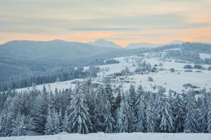 pokryta śniegiem dolina z drzewami i górami w obiekcie Chalety BUČINA w mieście Orawska Leśna
