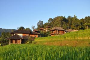 ein Dorf inmitten eines Reisfeldes in der Unterkunft Puri Lumbung Cottages Restaurant & Spa Munduk in Munduk
