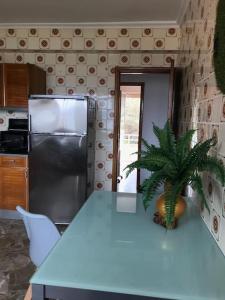 A kitchen or kitchenette at Primero Seixo antiguo