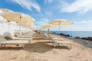 a row of chairs and umbrellas on a beach at Hotel Cavalluccio Marino in Santa Marinella