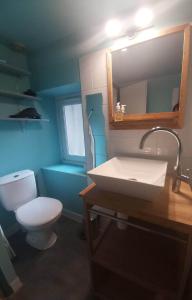 uma casa de banho com um WC, um lavatório e um espelho. em Duplexe de l’Hermitage em Tournon-sur-Rhône