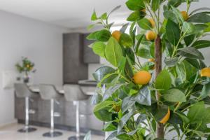 Kép Appartamento lussuoso climatizzato a 200 m dal mare szállásáról Torre Paliban a galériában