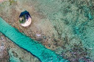 Kép Appartamento lussuoso climatizzato a 200 m dal mare szállásáról Torre Paliban a galériában