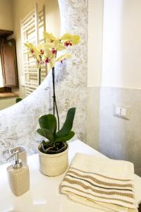 a bathroom with a sink with a plant on a counter at La Finestra su Civita in Lubriano