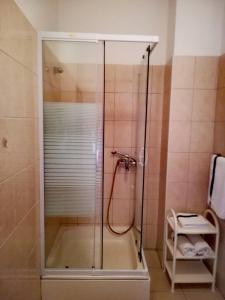 a shower with a glass door in a bathroom at Apartments Martinac in Sukošan