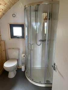 a bathroom with a shower with a toilet and a sink at Badger's Sett in Bathgate