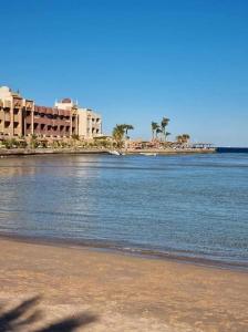 una masa de agua con edificios y palmeras en The Comfortable palace en Hurghada