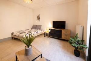 um quarto com uma cama e uma televisão num quarto em L'Urbain B - Tout équipé - Centre-Ville Gare em Montluçon