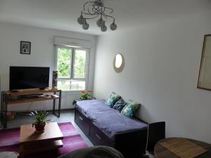 a living room with a couch and a tv at Appartement cosy 4 personnes in Mâcon