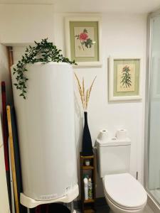 a bathroom with a toilet and a plant on the wall at Charmante petite maison rénovée in Quistinic