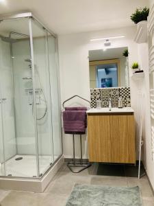 a bathroom with a shower and a sink at Charmante petite maison rénovée in Quistinic