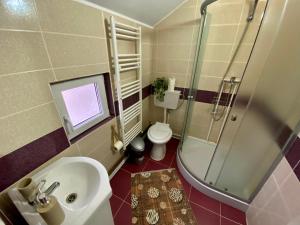 bagno con lavandino, doccia e servizi igienici di Floare de Maramures 1 a Vadu Izei